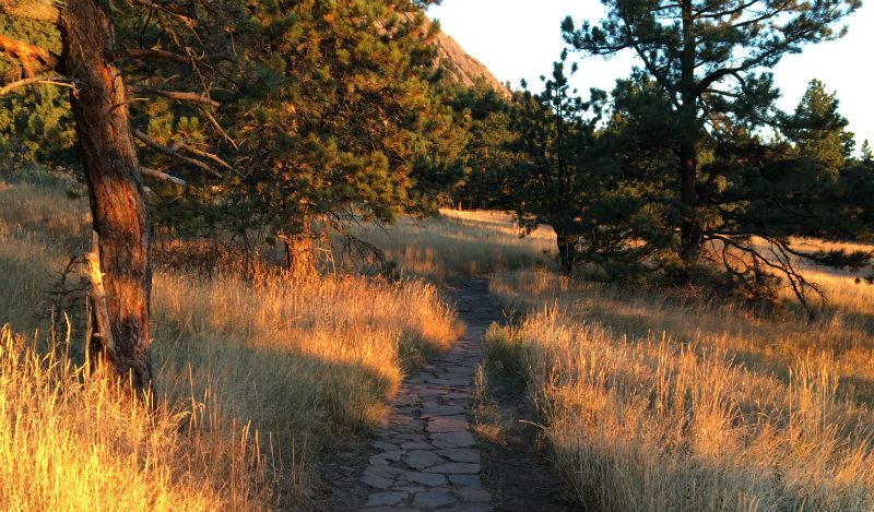 alex le mesa trail morning